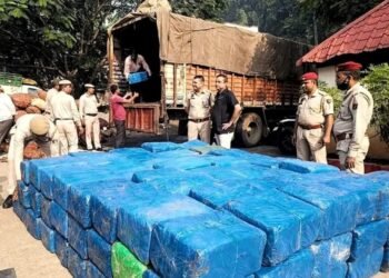 Rs 15 crore of marijuana seized in Jorabat area