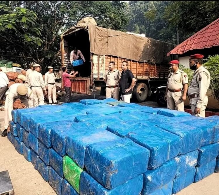 Rs 15 crore of marijuana seized in Jorabat area