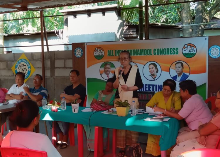 TMC constitutes mahila committee in Williamnagar