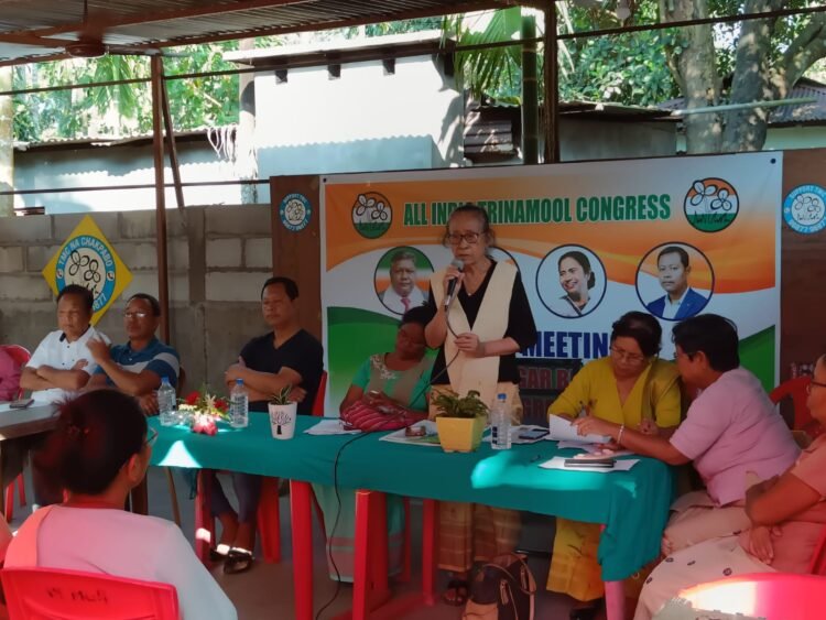 TMC constitutes mahila committee in Williamnagar