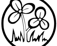 MDA unaccountable to the people: TMC