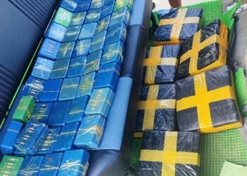 DRI seizes heroin worth Rs 15 crore in Mawryngkneng drugs bust