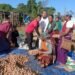KVK distributes potato seeds to Jaiñtia farmers