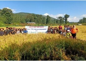 Farmers attend field day at Umeit village