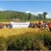Farmers attend field day at Umeit village