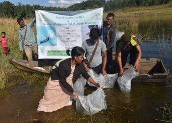 ICAR holds ranching of indigenous fish species at Umniuh