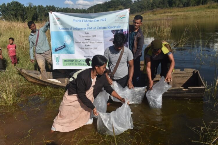 ICAR holds ranching of indigenous fish species at Umniuh
