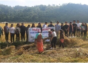 KVK holds field day on paddy for farmers and students
