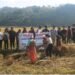KVK holds field day on paddy for farmers and students