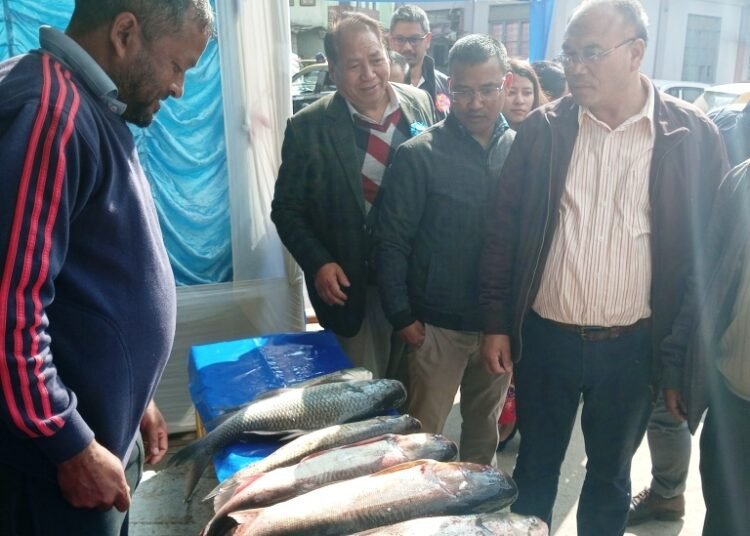 District Aquafest held in Mairang