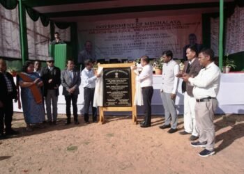 Foundation laid for Amlarem block complex