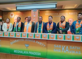 We were completely sidelined by NPP, says Ferlin & Benedic