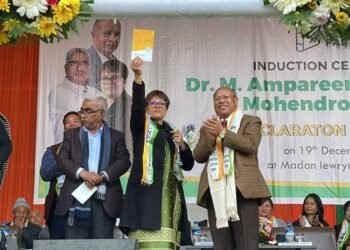 NPP has negatives, says Ampareen