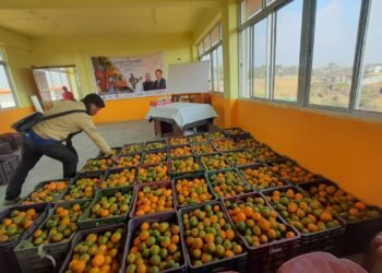 2 MT Khasi Mandarin exported to UAE