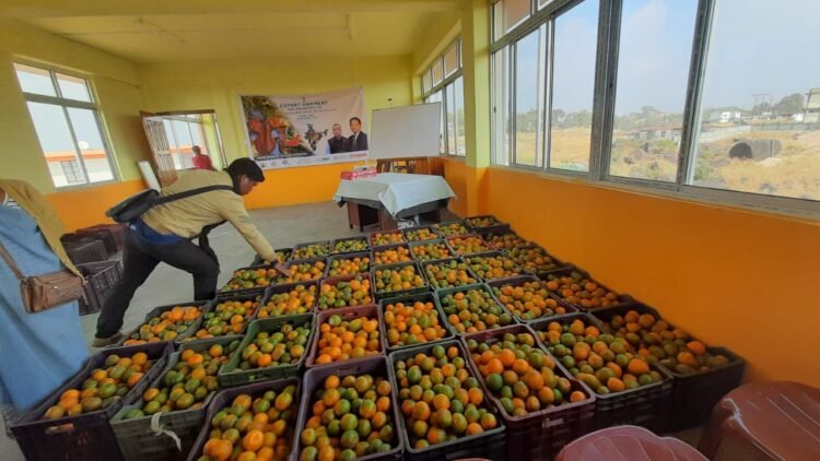 2 MT Khasi Mandarin exported to UAE