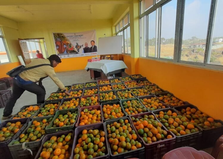 2 MT Khasi Mandarin exported to UAE