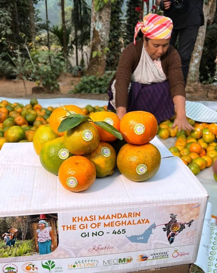 Meghalaya sends 1 tonne Khasi Mandarin to Dubai