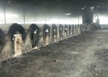 HC orders closure of illegal coke plants