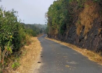 Road of the 60s upgraded in SWKH