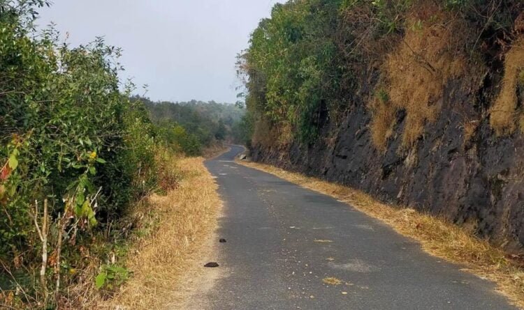 Road of the 60s upgraded in SWKH