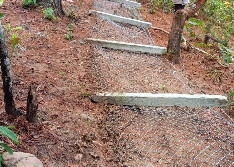 Ri-Bhoi village forest encroached on; Khasis living in fear of Assam