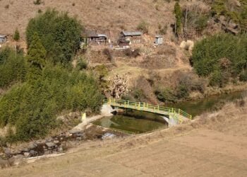 M’laya records strong growth rate in 2021-22