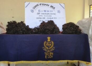 300 kg human hair seized by BSF in Meghalaya