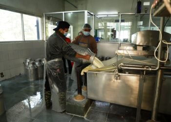 Govt touts work to increase livestock production in State