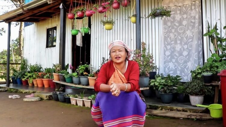 Wapung Skur farmer innovates organic manure to rejuvenate coal mine-spoiled lands
