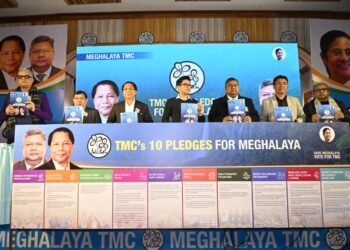 Welfare schemes sparkle Trinamool Cong manifesto