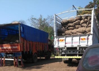 BSF & cops seize 11 tonnes of betel nuts, trucks in SGH