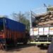 BSF & cops seize 11 tonnes of betel nuts, trucks in SGH