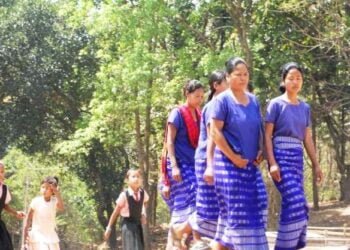 ASHAs ‘not being paid incentives’ in Garo Hills