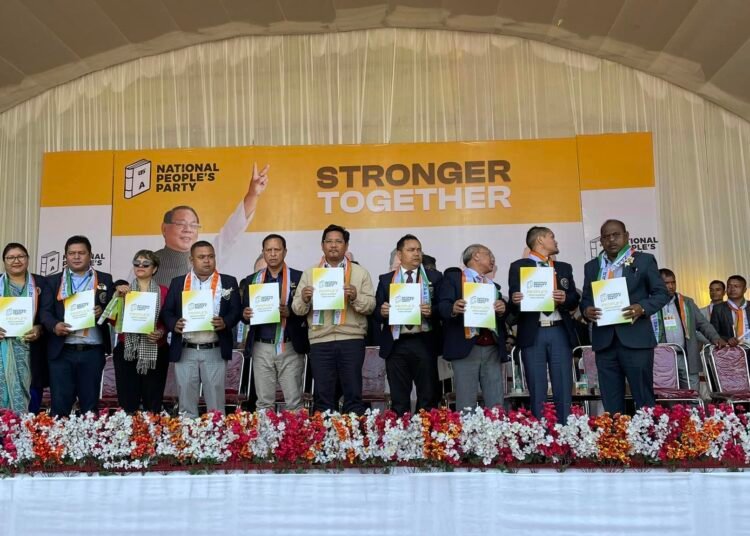 Plethora of promises in NPP poll manifesto