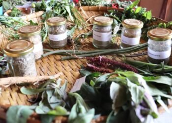 Local farmers share experiment findings with MBMA officials