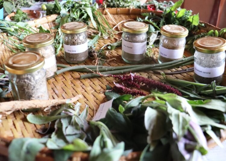 Local farmers share experiment findings with MBMA officials