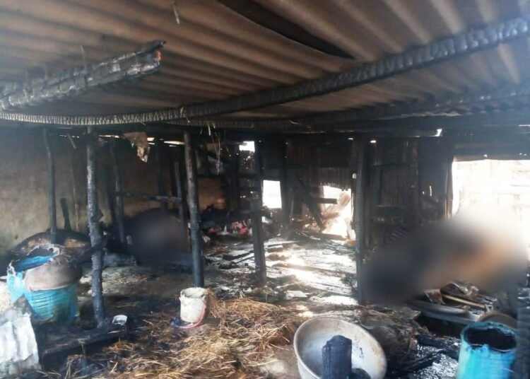 4 cows charred to death in Mookhep