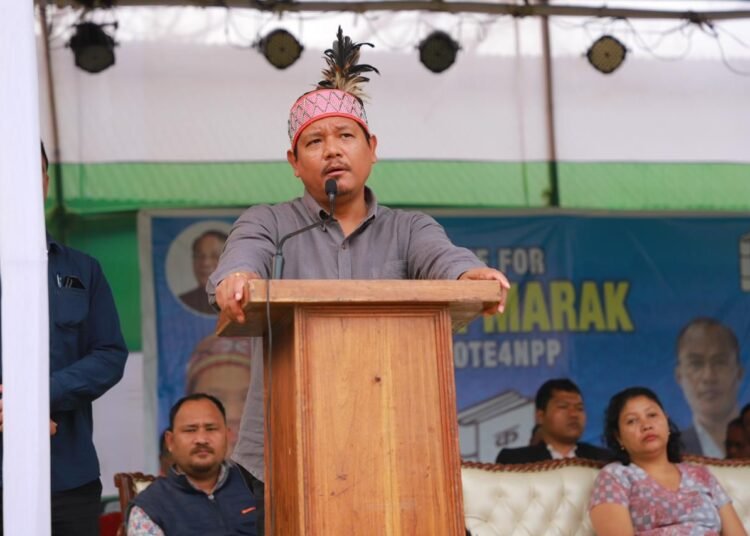 ‘Big shots come and go but NPP will be with M’laya forever’