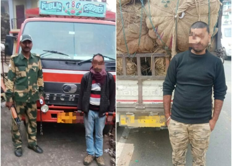 BSF seizes 6 tonnes of betel leaves on way to Bangladesh