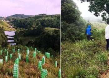 Pynursla village leveraging natural resource management initiatives