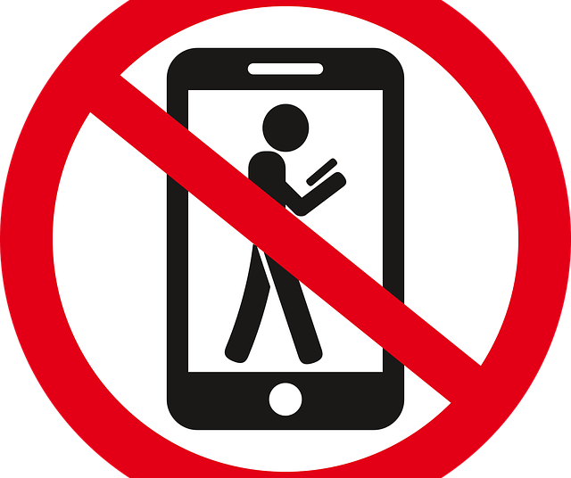 Mobile phones inside polling stations banned