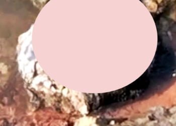 Man’s decapitated head found in Umiam River