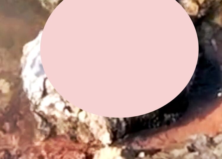 Man’s decapitated head found in Umiam River