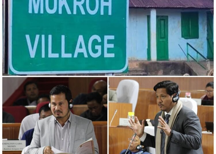 Mukroh dominates Assembly discussions