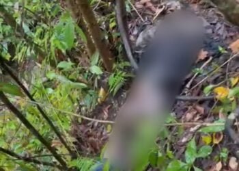 Missing man found dead, 2 arrested