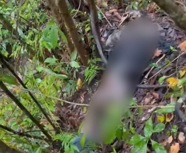 Missing man found dead, 2 arrested