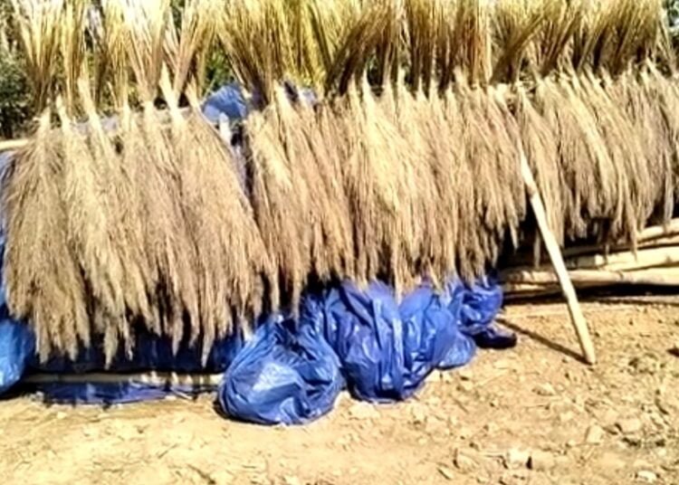 Mawhati MLA complains of illegal broom tax by Karbi Anglong council