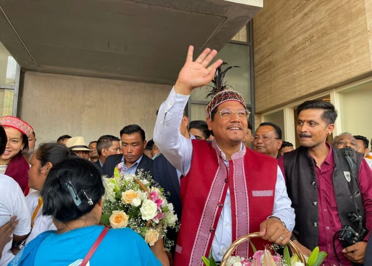 NPP emerges as single largest party