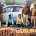 EJH police seize over 71 kg of marijuana, 2 held