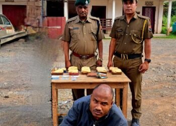 Attempt to use tourist Sumo to smuggle heroin foiled